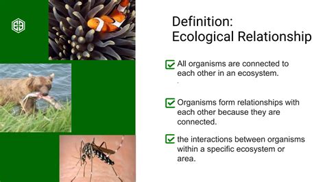 Ecological Relationships