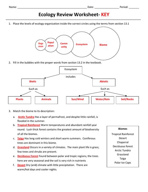 Ecological Relationships Worksheet Answers Aufbau Diagram Worksheet - Aufbau Diagram Worksheet