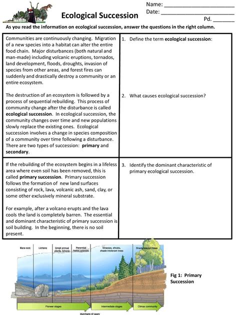 Ecological Succession Answer Key Lesson Worksheets Succession Worksheet Answer Key - Succession Worksheet Answer Key