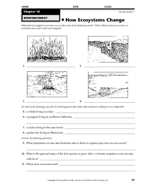 Ecological Succession Changes In Ecosystems Worksheet Amp Puzzle Succession Worksheet Answer Key - Succession Worksheet Answer Key