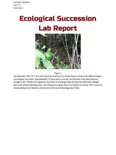 Ecological Succession Lab