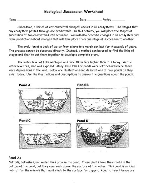 Ecological Succession Worksheet Answer Key
