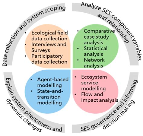 Ecological System Meaning