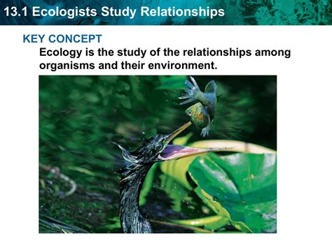 Read Online Ecologists Study Relationships Guide Answer Key 
