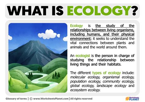 ecology definition