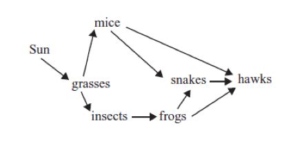 ecology test Flashcards Quizlet