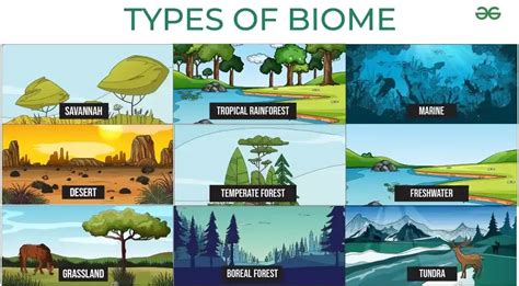 Download Ecology Biomes And Ecosystems 