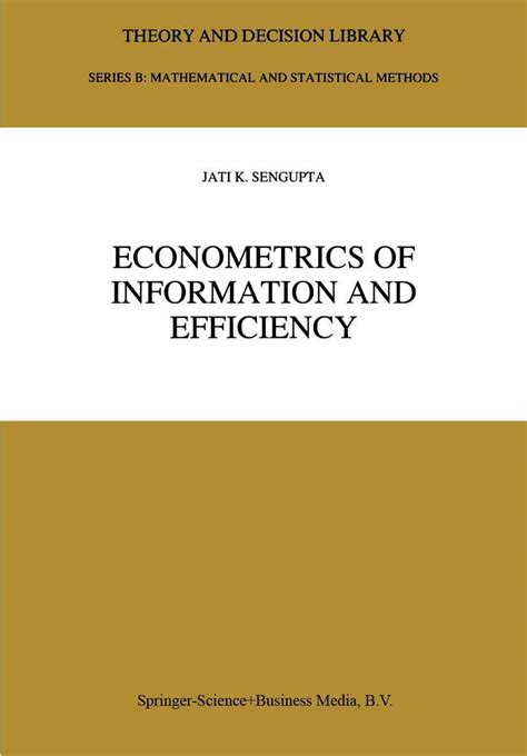Econometrics Of Information And Efficiency Theory And