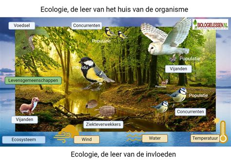 ecosysteem uitleg