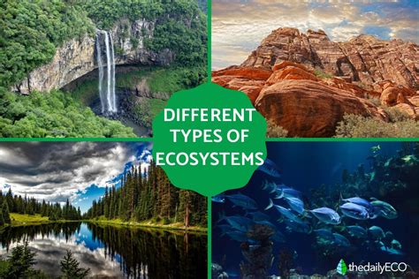 ecosystem | Ecosystem azVocab
