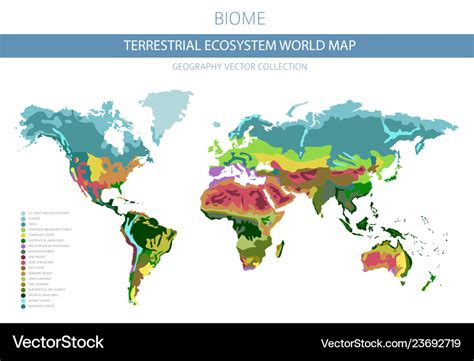ecosystem around the world
