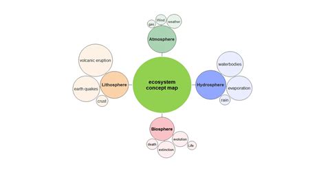 Ecosystem Concept Map