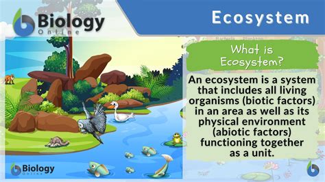 ecosystem definition