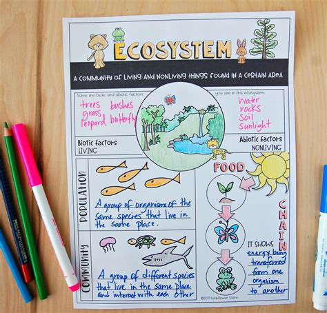 Ecosystem For Kids Science Activities For Kids 1st Ecosystems Worksheet Activity 5th Grade - Ecosystems Worksheet Activity 5th Grade