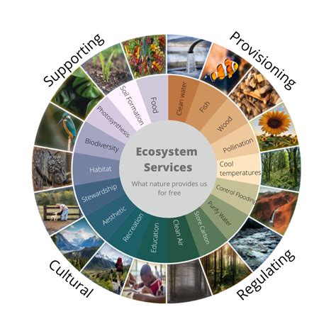 Ecosystem Services