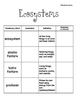 ecosystem vocabulary 5th grade