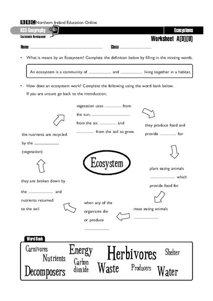 Ecosystem Worksheets 7th Grade Pdf High School Environmental Science Worksheets - High School Environmental Science Worksheets