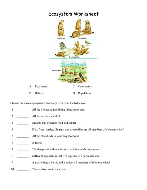 Ecosystem Worksheets Parts Of An Ecosystem Worksheet - Parts Of An Ecosystem Worksheet