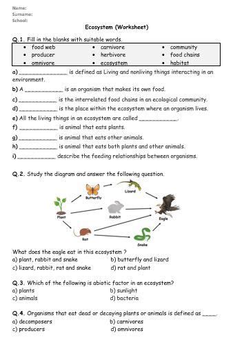 Ecosystem Worksheets Super Teacher Worksheets 5th Grade Ecosystems - 5th Grade Ecosystems