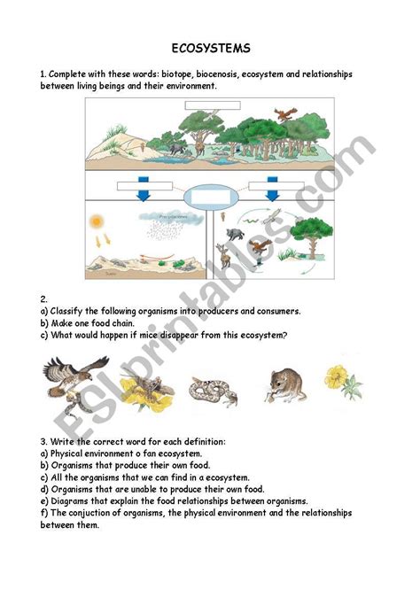 Ecosystem Worksheets Super Teacher Worksheets Brain Teasers Worksheet 5th Grade - Brain Teasers Worksheet 5th Grade