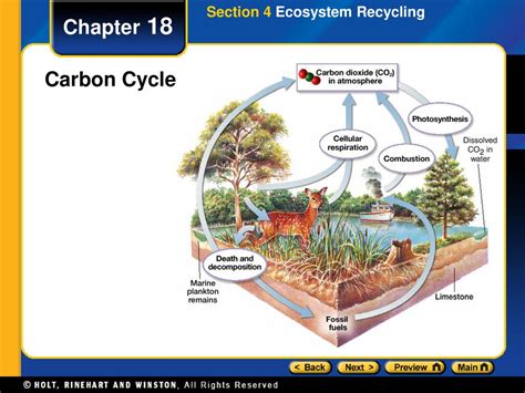 Download Ecosystem Recycling Section 4 Review Answers 