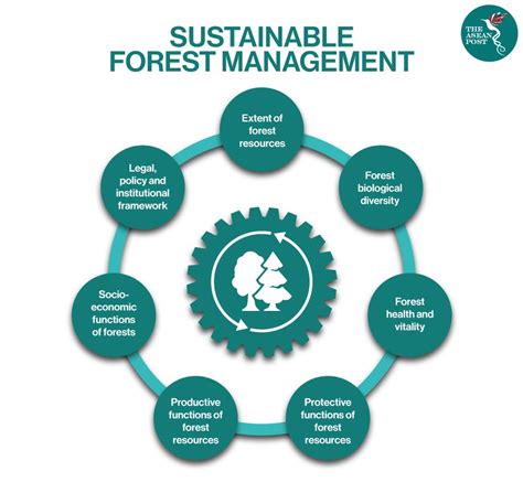 Full Download Ecosystem Services And Forest Management Forestry Commission 