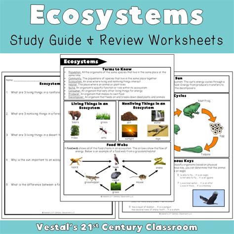 Ecosystems 4 5 Study Guide Answer Key Part A Vocabulary