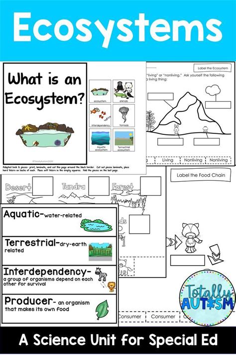 Ecosystems 4th Grade Ecosystems For 4th Grade - Ecosystems For 4th Grade