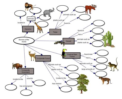 Ecosystems And Biomes Concept Map Answer Key