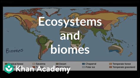 Ecosystems And Biomes Video Ecology Khan Academy Ecosystems For 4th Grade - Ecosystems For 4th Grade