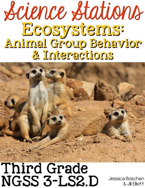 Ecosystems Animal Group Behavior Third Grade Science Stations Route Map 3rd Grade Worksheet - Route Map 3rd Grade Worksheet