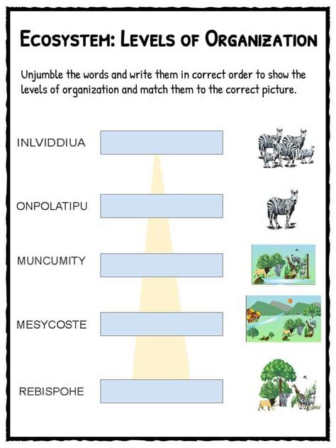 Ecosystems Games Worksheets Quizzes For Kids 4th Grade Science Ecosystem - 4th Grade Science Ecosystem