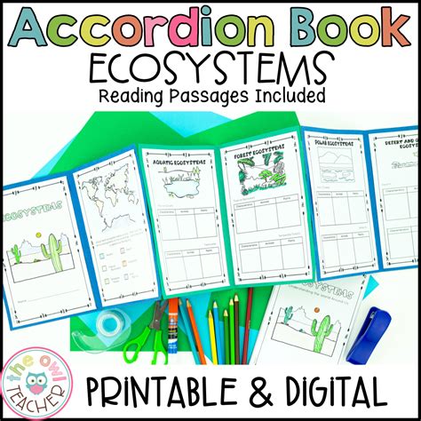 Ecosystems Video Lesson For Kids Grades 3 5 5th Grade Ecosystems - 5th Grade Ecosystems