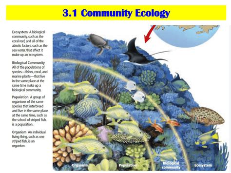 Download Ecosystems And Communities Chapter 14 