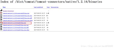 ecplise An version [1.2.14] of the APR based Apache Tomcat