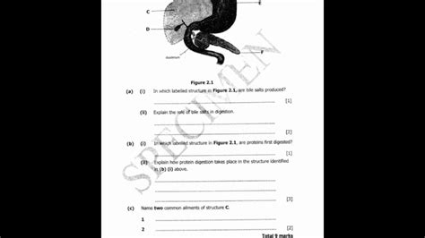 Full Download Ecz Past Examination Papers For Biology Practical 