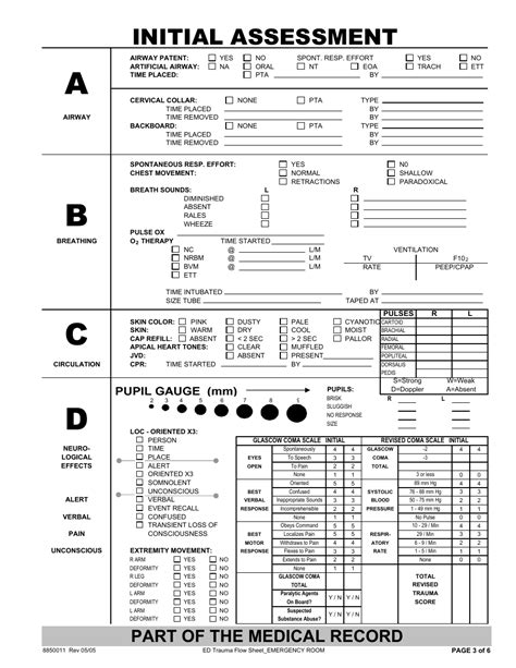 Download Ed Trauma Documentation Flow Sheet 