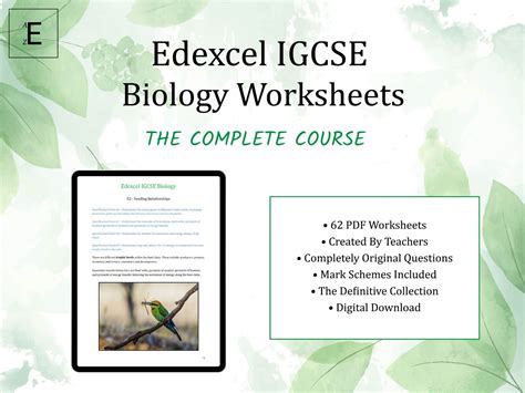 Edexcel Igcse Biology Worksheet 53 The Carbon Cycle Cycles Worksheet Carbon Cycle Answers - Cycles Worksheet Carbon Cycle Answers