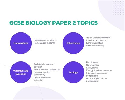 Full Download Edexcel Bio Paper 2 January 2014 