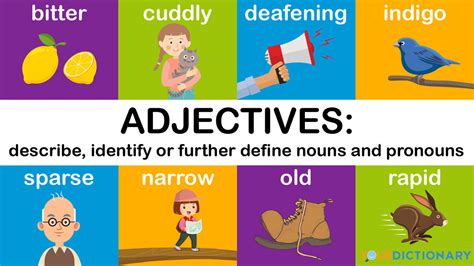 educated adjective - Definition, pictures, pronunciation and usage ...