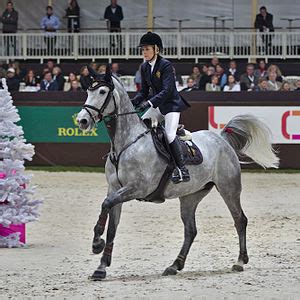 edwina tops-alexander biography of rory