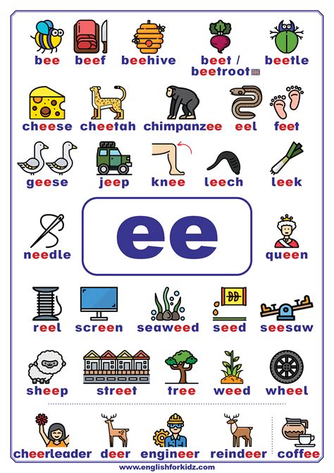 Ee Words With Pictures   Angiesfotografie De Multisyllabic Words With Pictures - Ee Words With Pictures