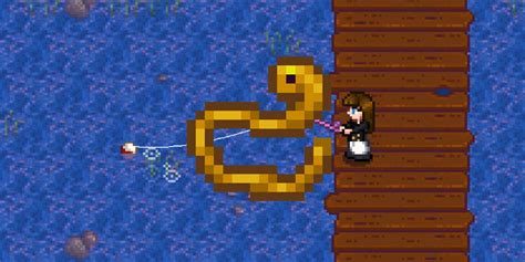Eel Stardew Valley