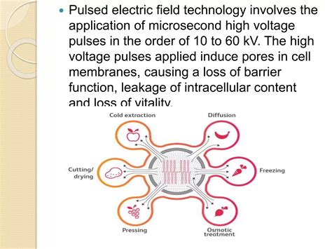 Effect Of Pulsed Electric Fields On The Flavour Profile Of