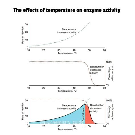 Effect Of Temperature And Other Factors On Plastics And Elastomers