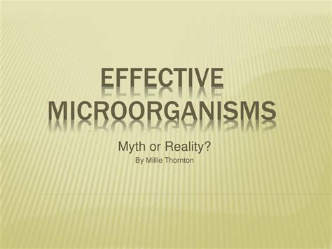 Full Download Effective Microorganisms Myth Or Reality Scielo 
