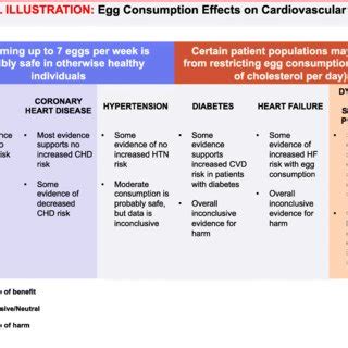 Effects Of Egg Consumption On Blood Lipids Pdf