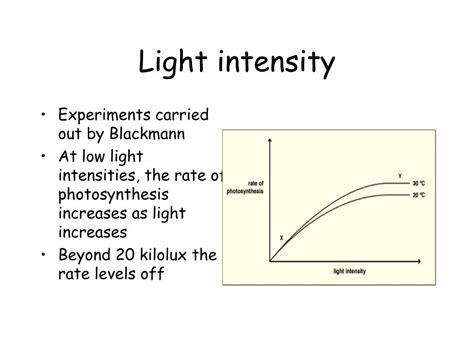 effects of light intensity on plant growth