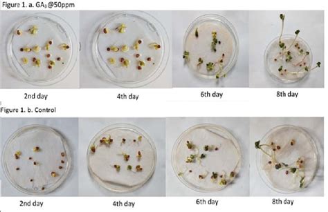 Download Effects Of Ph On Radish Seed Germination 