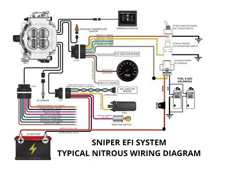 Read Online Efi Circuit Diagram 